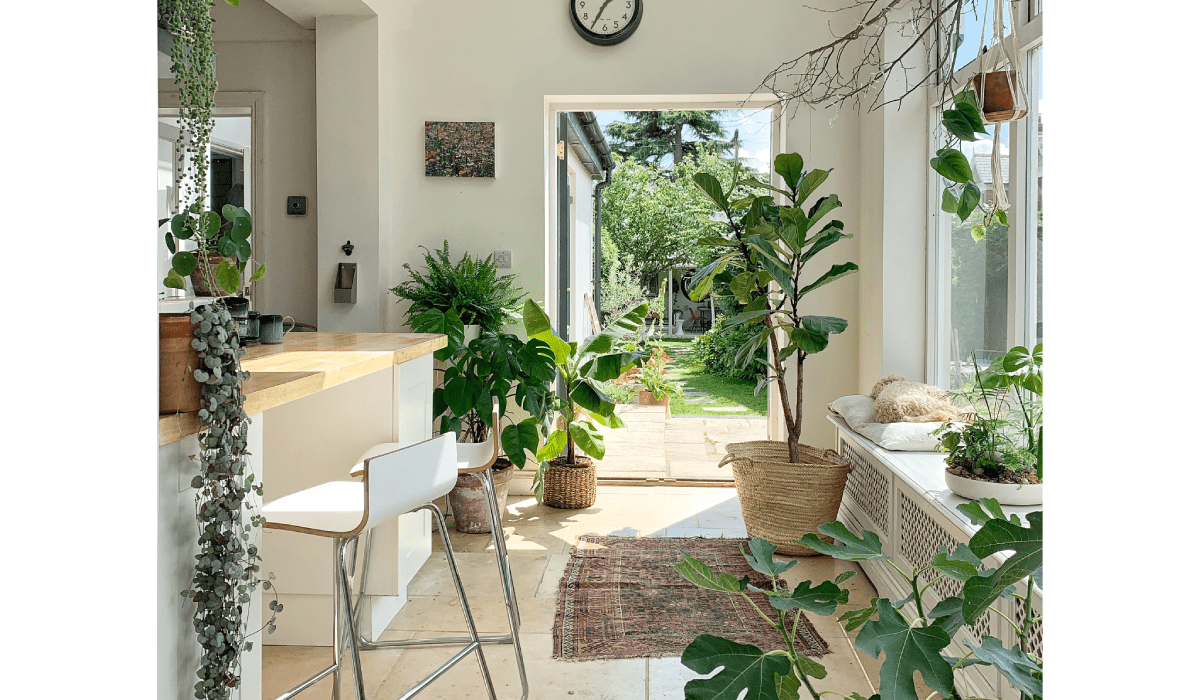 Here are 3 Reasons Why You Should Have Plants in Your Home